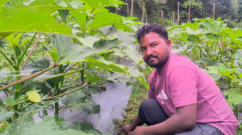 How Sustainable Farming Helped Biswas Munda Leave Migration Behind