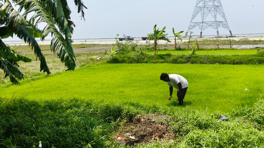 Seeds That Could Change the Future of Bihar’s Flood-Prone Farmers