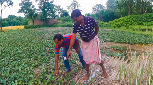 The Vines That Changed Kishnadev Mandal’s Life