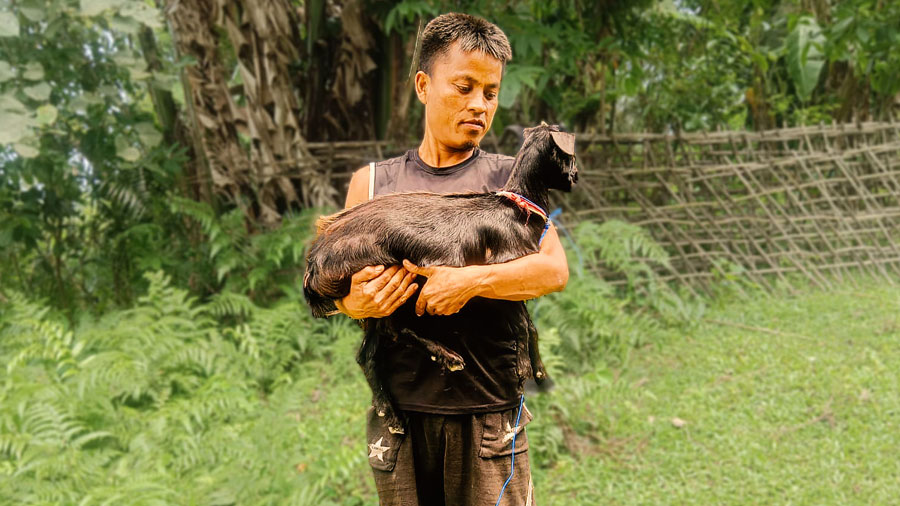 When the Floods Come Again: How Livestock Became a Family’s Plan B