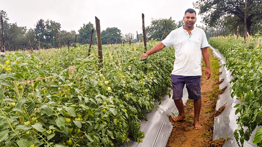 Chhattisgarh Farmer Triples Income Through Climate-Resilient Farming
