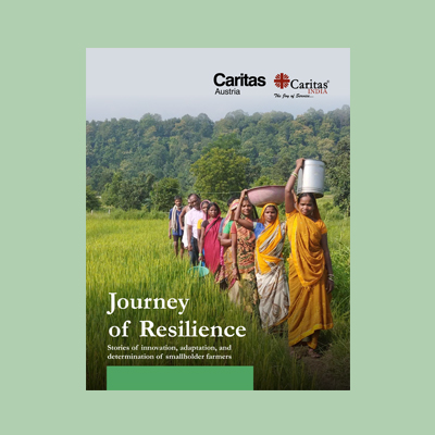 Journey of Resilience